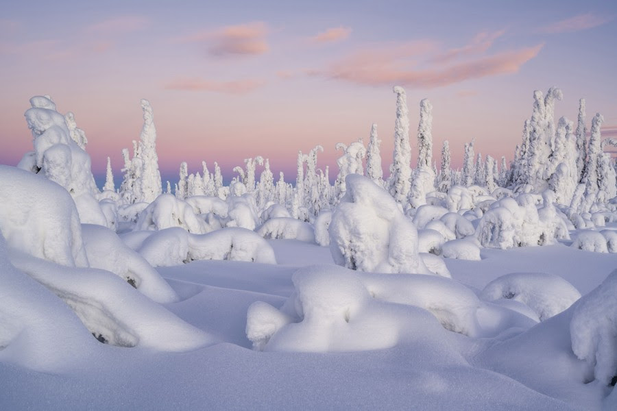 Snow-covered trees are seen, forming lumpy and clumpy shapes.