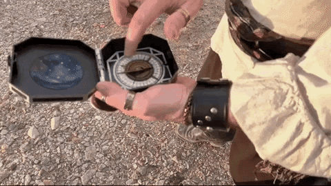 Pirate with compass lost GIF