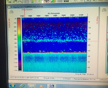 A colorful computer screen display from a hydro acoustic device shows fish in the water column to be counted.