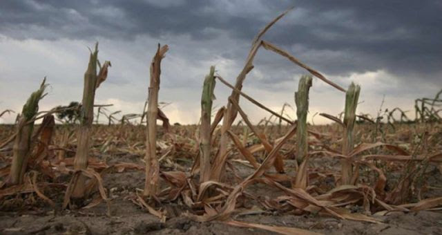 The Best Gardening Methods During Disasters The Best Gardening Methods During Disasters
