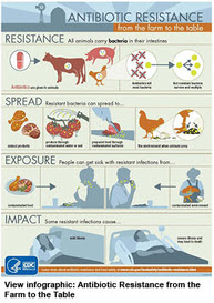 Antibiotic resistance--from farm to table