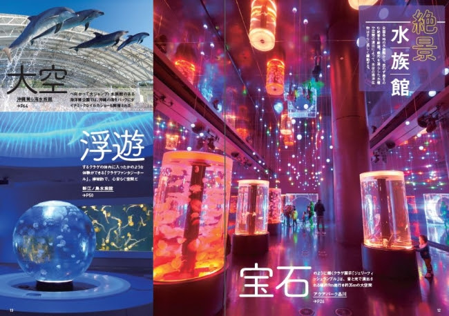 『水族館ぴあ 全国版』(ぴあMOOK)絶景