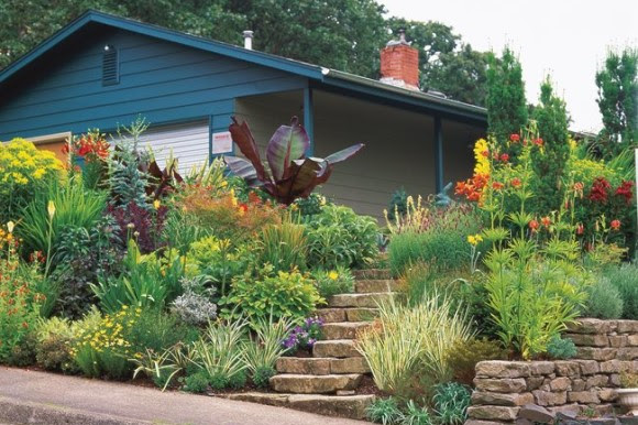 Sloping front yard with steps