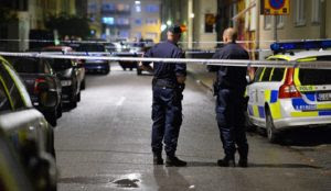 Swedish government to ban websites that reveal ethnic origin of crime suspects