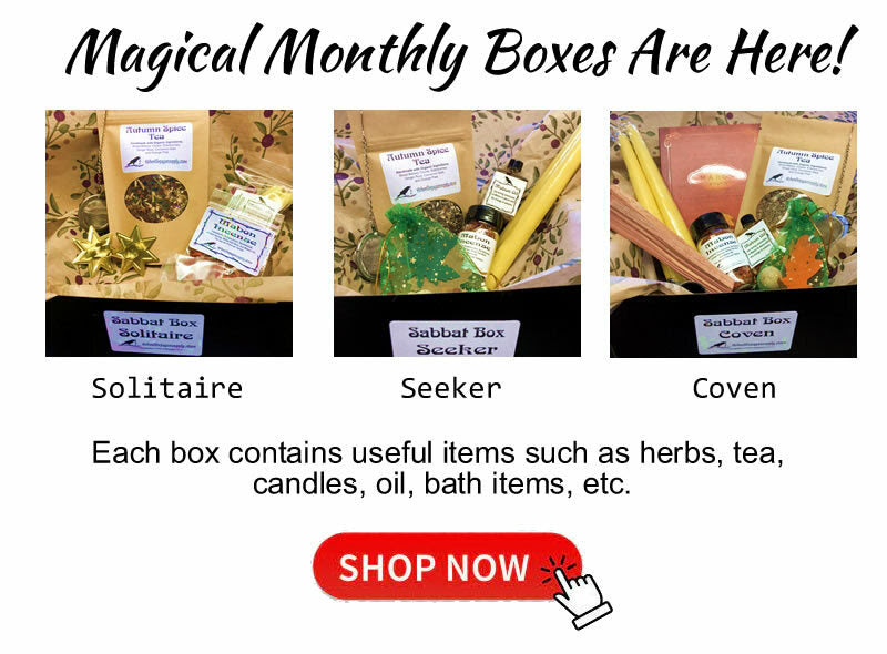 Click here to check out our September Magical Monthly Box