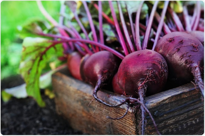 Beetroot