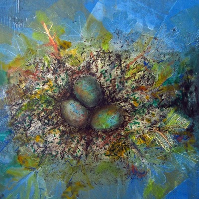 EggNest1_3000sq EggNest1_3000sq