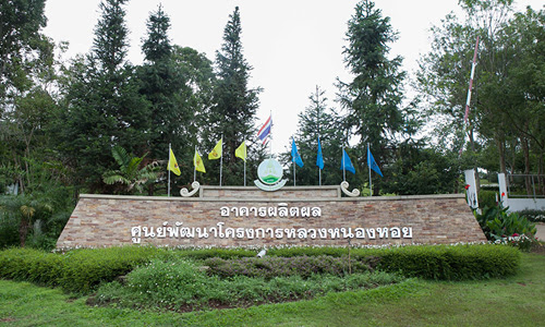 nong-hoi-royal-project-development-center-chiang-mai-500x300-2