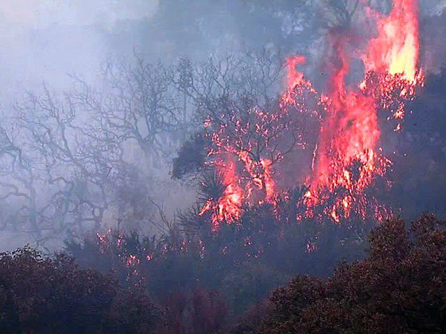 Border Burning, People Fleeing, Injuries Reported Border Burning, People Fleeing, Injuries Reported