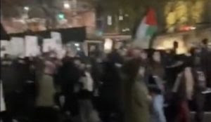 ‘Palestinian’ flags lead at New York City protests against acquittal of Kyle Rittenhouse