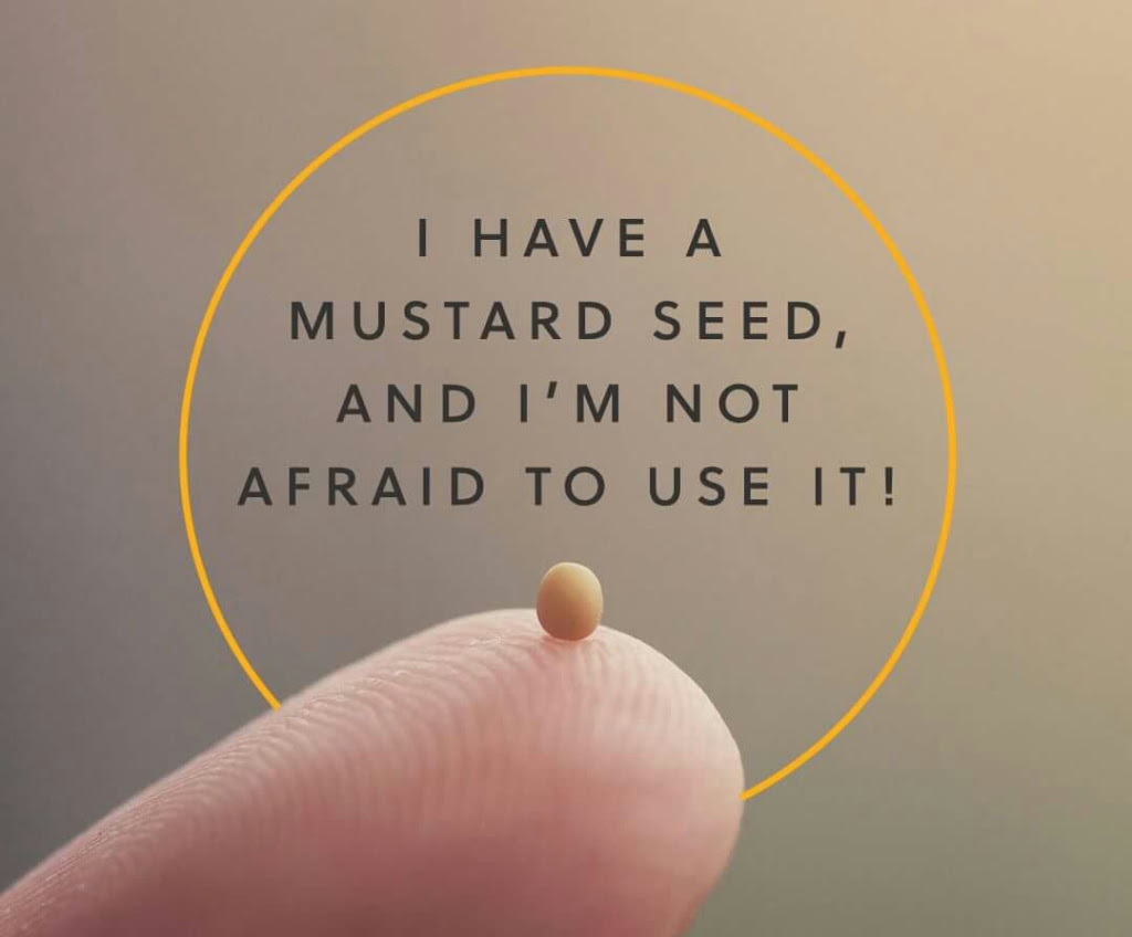 Picture of a mustard seed with slogan "I have a mustard seed and I'm not afraid to use it"
