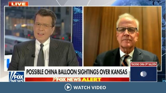 Chinese_Balloon_Fox.jpg Image