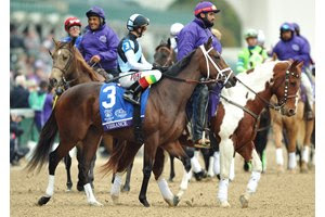 Vibrance in the post parade of the Breeders' Cup Juvenile Fillies at Churchill Downs
