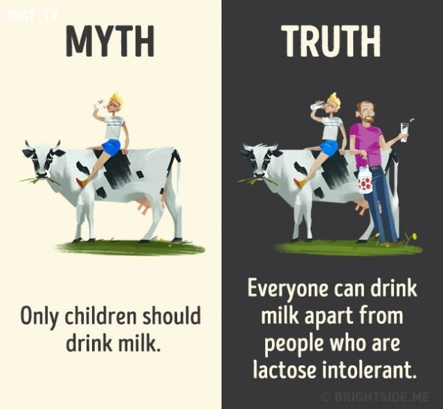 6. Chỉ có trẻ con mới nên uống sữa. Sự thật là mọi người đều có thể uống sữa ngoại trừ người bị chứng không dung nạp lactose.,nhận thức sai lầm,các loại thức uống,khám phá,sự thật thú vị,những điều thú vị trong cuộc sống