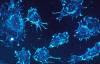 Una nanobomba podría administrar agentes que alteren la actividad genética del cáncer