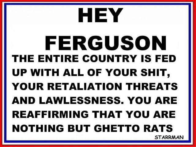 Ferguson: Time to Call These Vigilante Punks What They Are: Terrorists