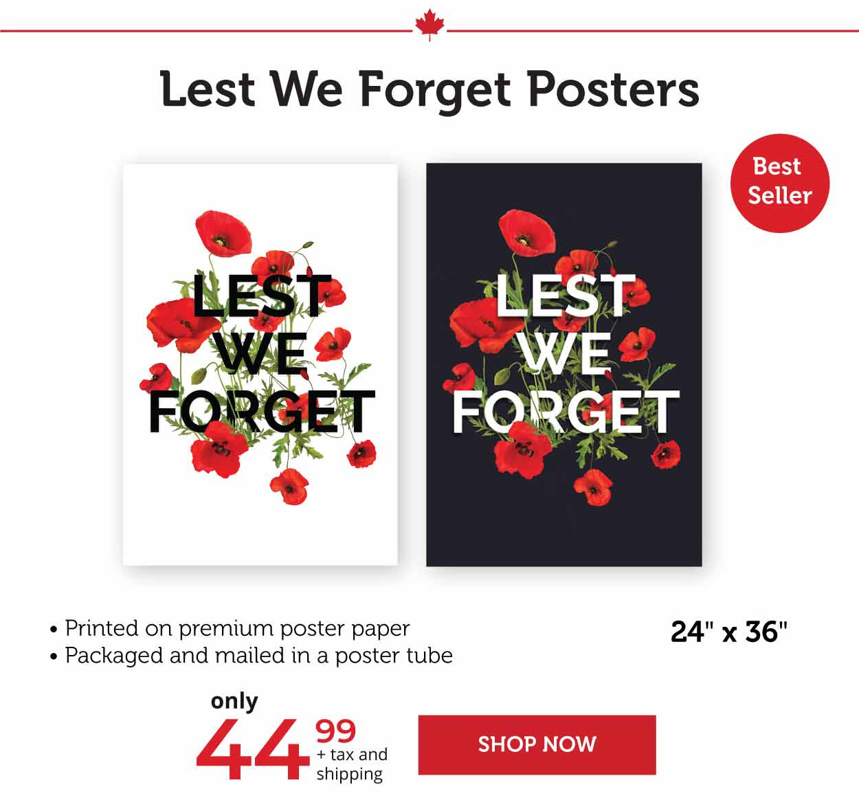 Lest We Forget Posters