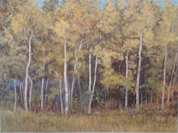 Birch Woods (600x448, 309Kb)
