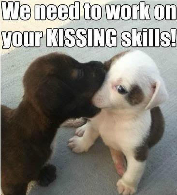 dogs-kissing-skills