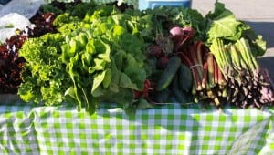 Look for lots of varieties of veggies Saturday at the farmers market. These are from Goetz Greenhouse. 