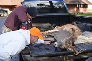 Hunters are often interested in the age of their deer.
