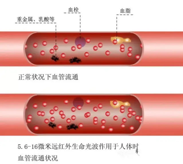 目前顯示的是「」