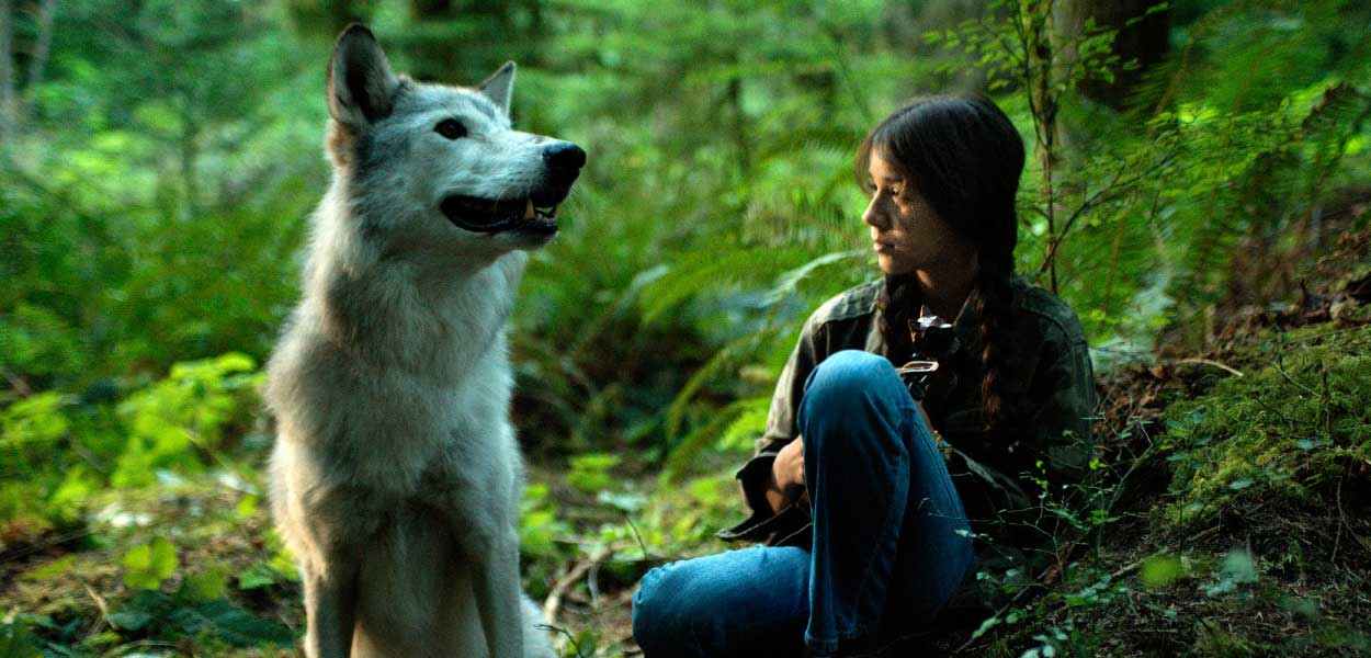 ΑποτÎλεσμα εικόνας για Shana – The wolf’s Music