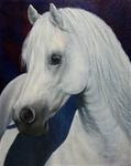 White Horse - Posted on Monday, February 23, 2015 by Sherry Bevins
