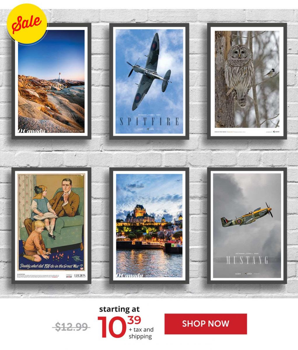 20% off on select posters