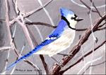 Happy Blue Jay - Posted on Friday, January 16, 2015 by Patricia Ann Rizzo