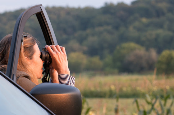 An image of a woman looking through binoculars from her vehicle. 