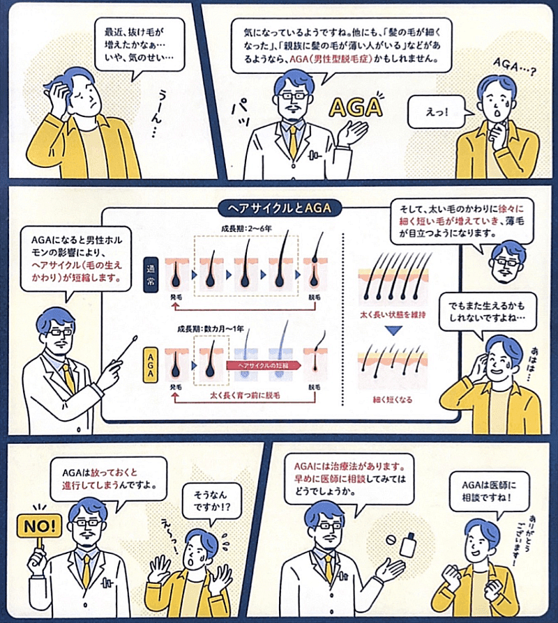 男性型脱毛（AGA)とヘアサイクル