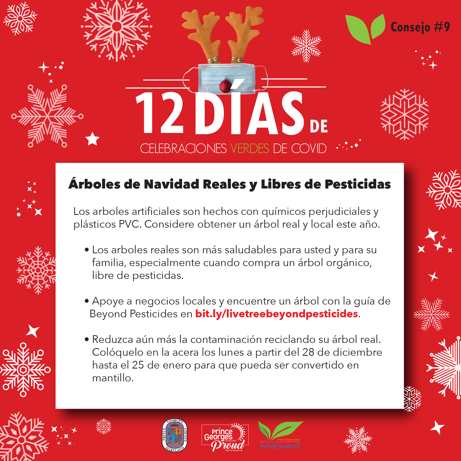 Day 9 of 12 Days Spanish