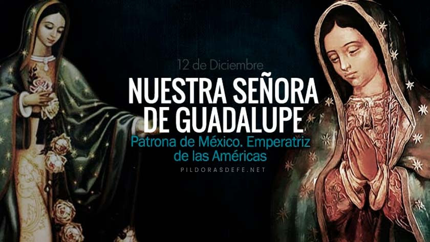 nuestra senora de guadalupe patrona de mexico emperatriz americas virgen de guadalupe historia