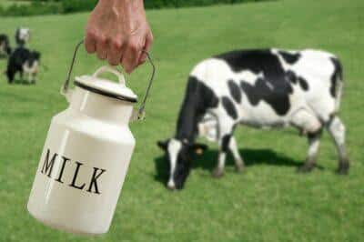 How To Handle Raw Milk … And Even Make It Last Longer Milk-dairyreporterDOTcom-400x266