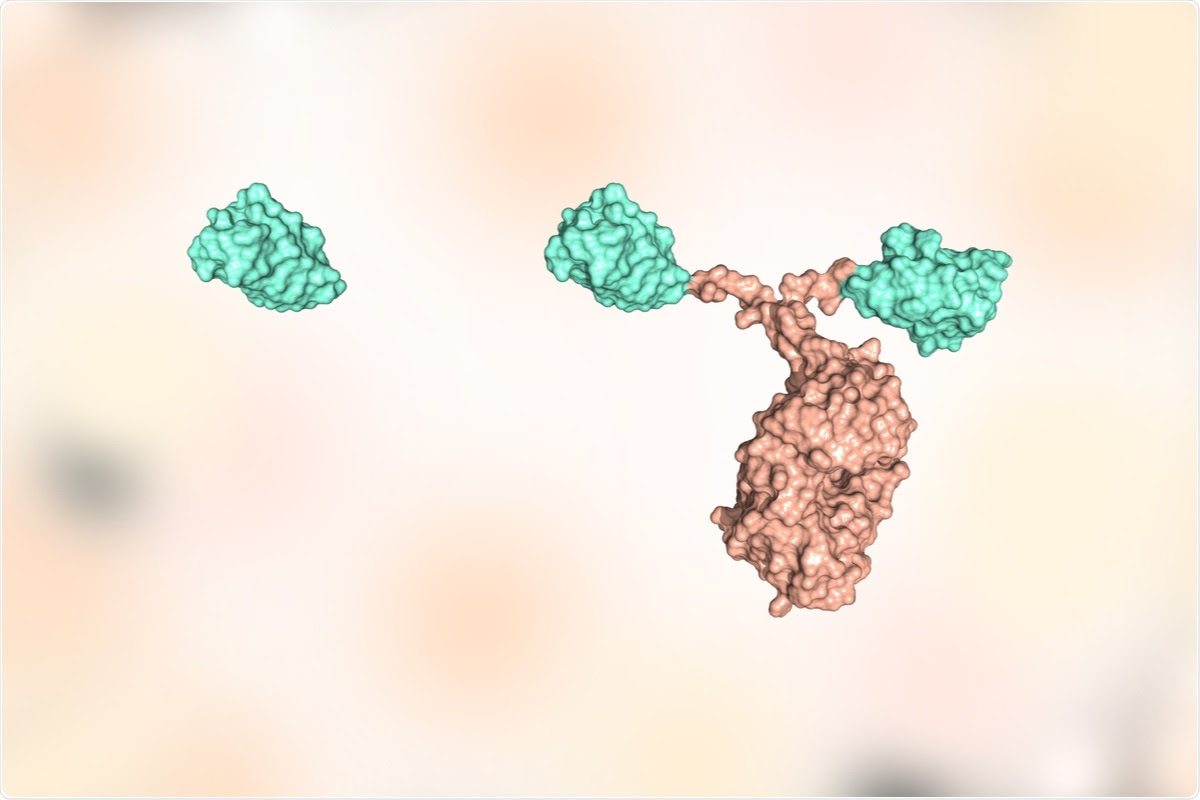 Study: A potent neutralizing nanobody against SARS‐CoV‐2 with inhaled delivery potential. Image Credit: Huen Structure Bio / Shutterstock