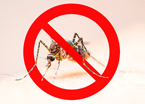 Malaria, uno de los grandes enemigos de la salud