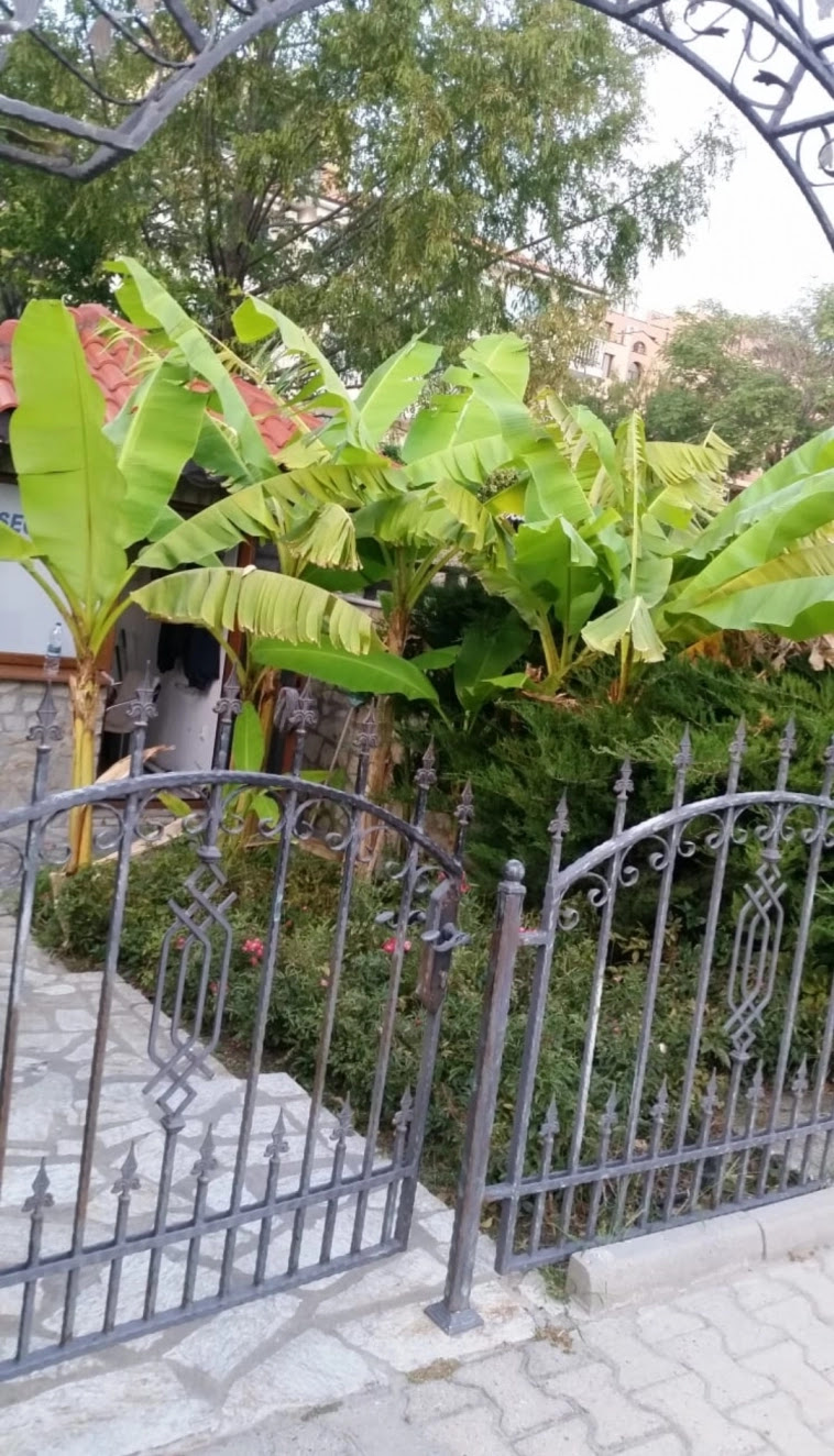 Азия. Пятница. Азия. Пятница.