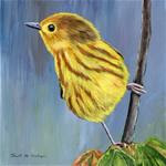 Yellow Warbler 2 - Posted on Thursday, February 12, 2015 by Janet Graham