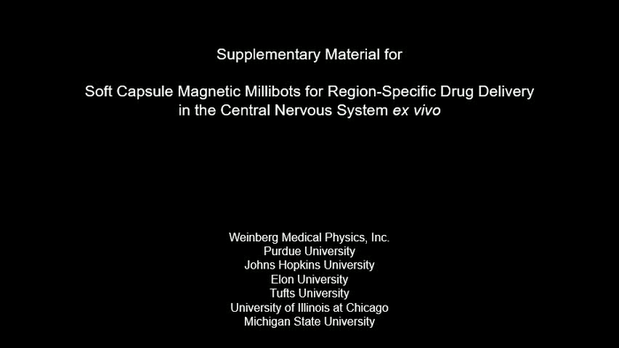 Soft Capsule Magnetic Millirobots for Region-Specific Drug Delivery in the Central Nervous System