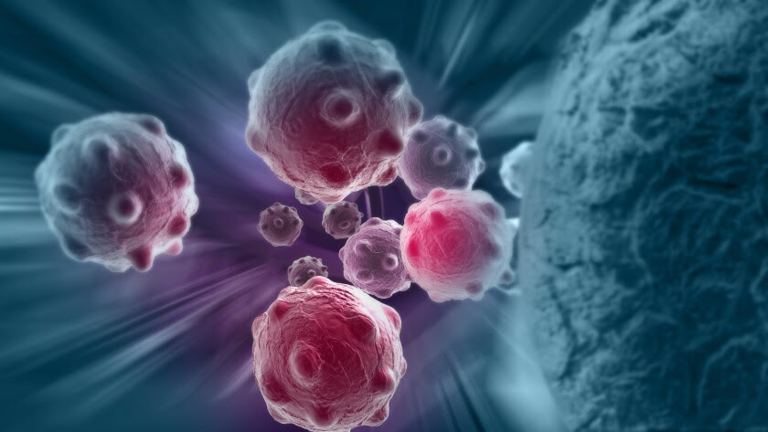 Scientists hope to learn more about the behavior of cancer cells by launching them into space