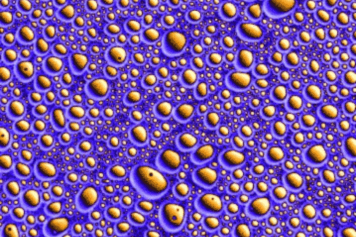 A microscope image of peptide droplets that can self-replicate, which may represent protocells that arose along the path to life