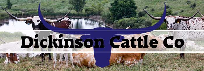Dickinson Cattle Co, LLC