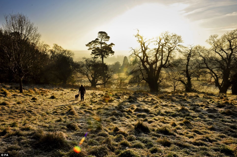 A dog walker makes her way through Ashton Court Estate in Bristol, where temperatures dipped to -3 in the city amid bright winter sunshine