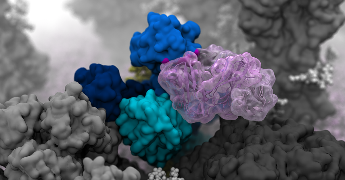 Computer simulation of different colored influenza glycoproteins.
