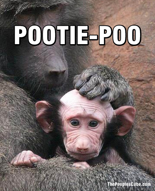 Pootie-Poo monkey