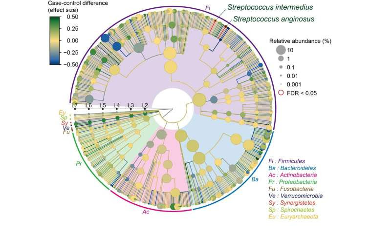 Systemic lupus erythematosus linked to altered gut microbiome