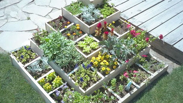 Square Foot Gardening: Organic, GMO-Free Food on Balconies, Roof Tops, Raised Beds and Acreage