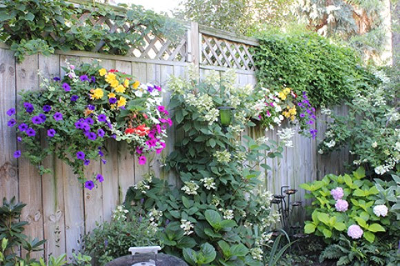 Flower baskets along fence