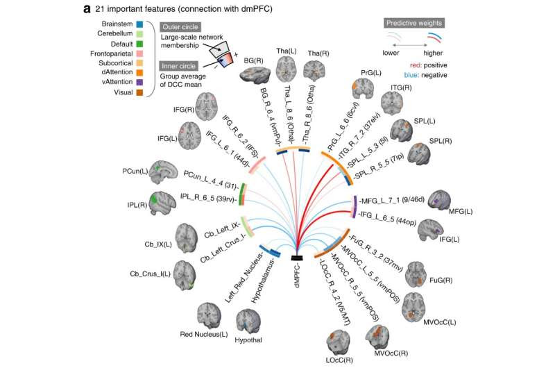 Predicting rumination based on brain connectivity